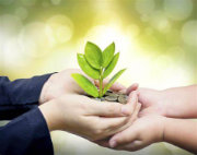 Saud Bin Rashid Al Mualla Charitable and Humanitarian Establishment